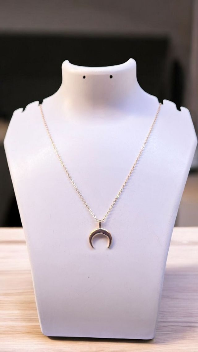 Gold Horn Necklace